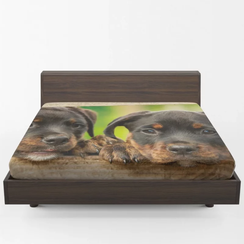 Puppy Innocence Rottweiler Playfulness Fitted Sheet