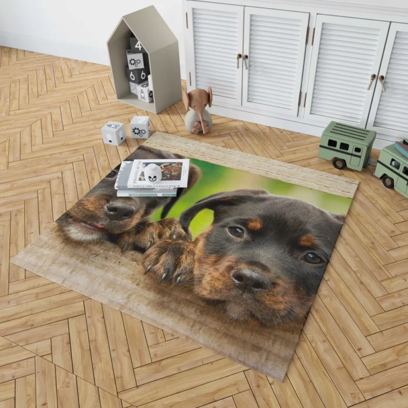 Puppy Innocence Rottweiler Playfulness Rug 1