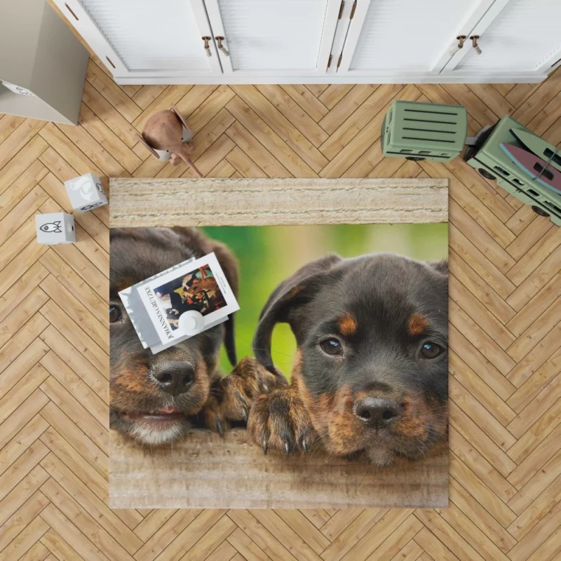 Puppy Innocence Rottweiler Playfulness Rug