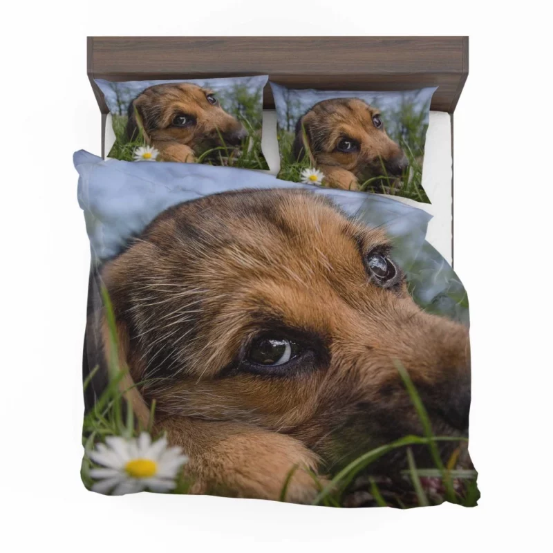 Puppy Innocent Gaze Canine Curiosity Bedding Set 1