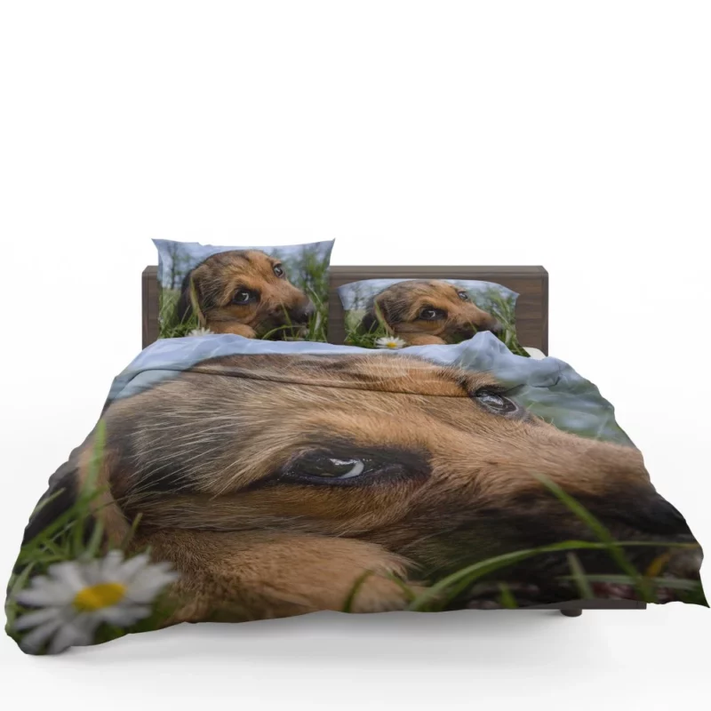 Puppy Innocent Gaze Canine Curiosity Bedding Set