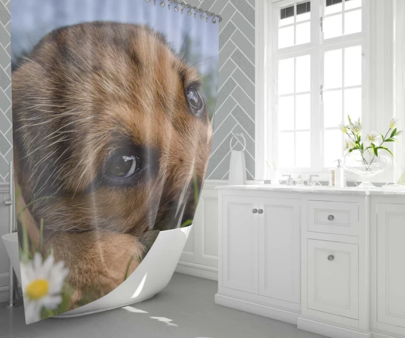 Puppy Innocent Gaze Canine Curiosity Shower Curtain 1