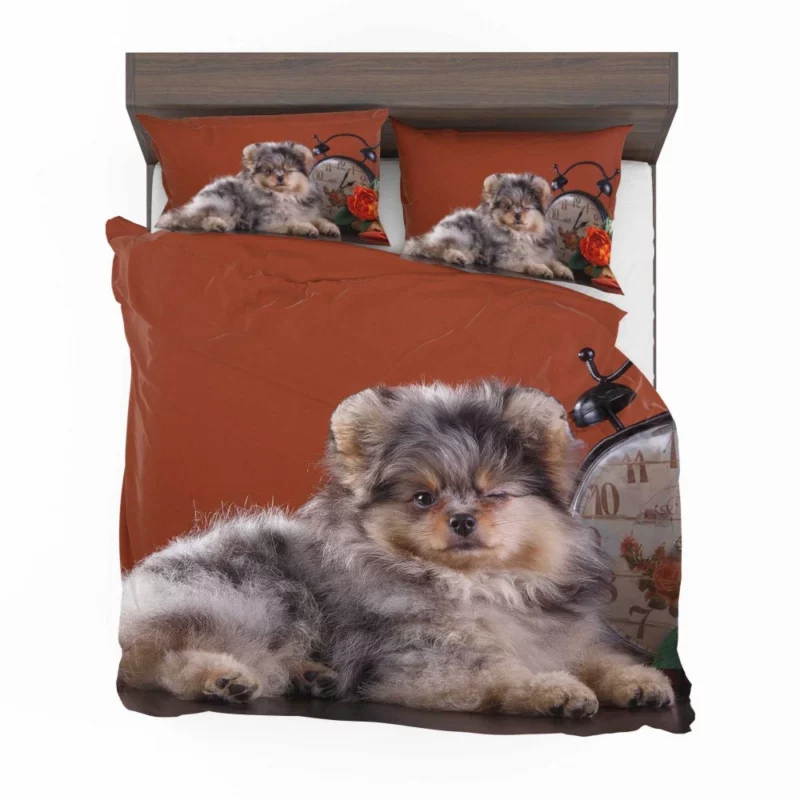 Puppy Innocent Gaze Furry Wonder Bedding Set 1