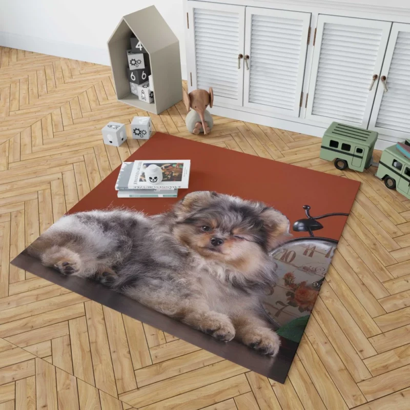 Puppy Innocent Gaze Furry Wonder Rug 1