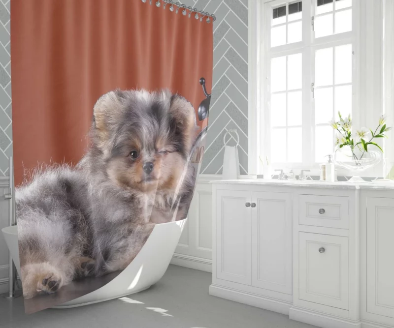 Puppy Innocent Gaze Furry Wonder Shower Curtain 1