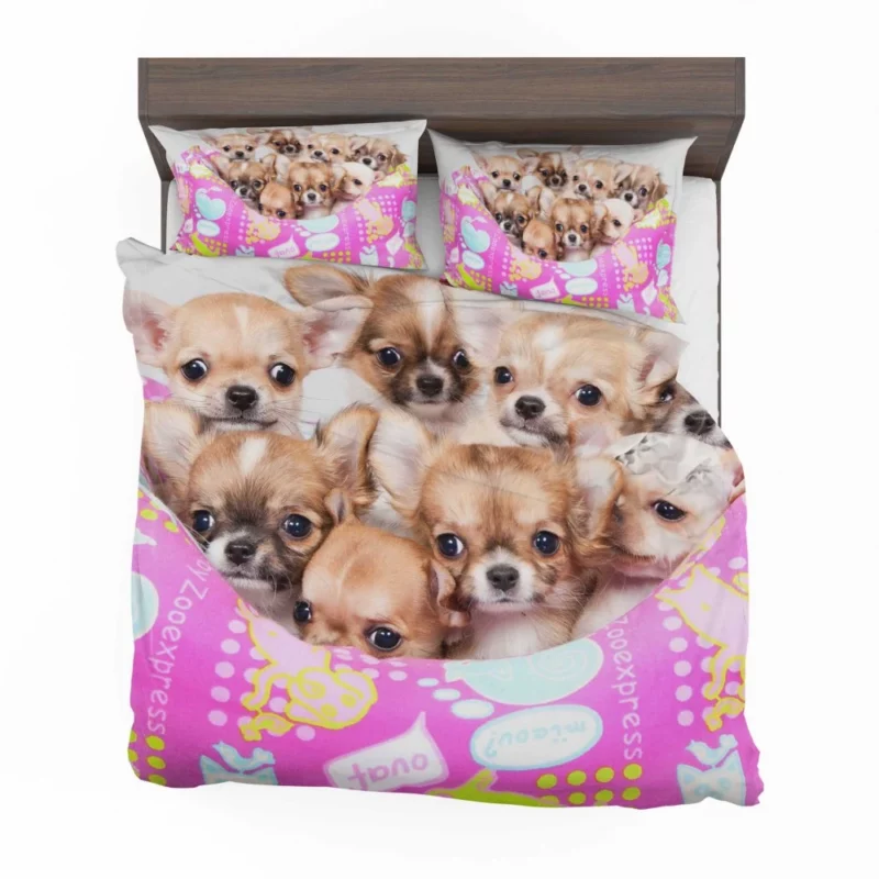 Puppy Love Chihuahua Heartfelt Joy Bedding Set 1