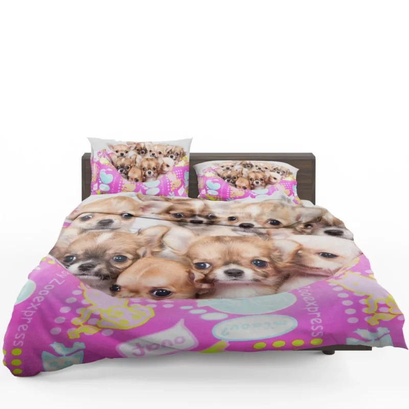 Puppy Love Chihuahua Heartfelt Joy Bedding Set