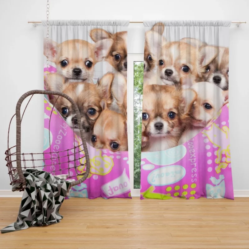 Puppy Love Chihuahua Heartfelt Joy Curtain