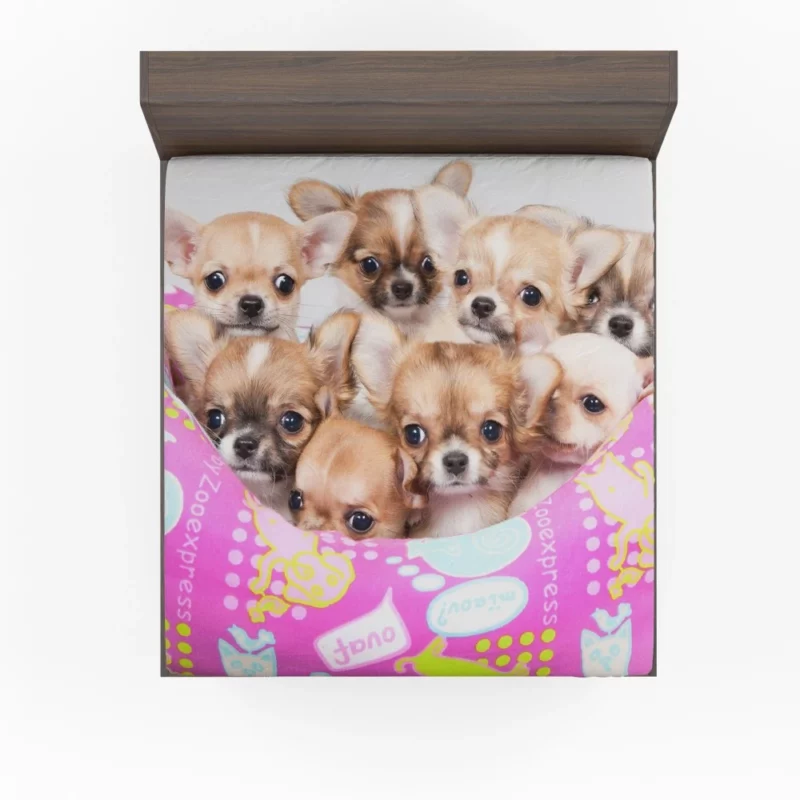 Puppy Love Chihuahua Heartfelt Joy Fitted Sheet 1