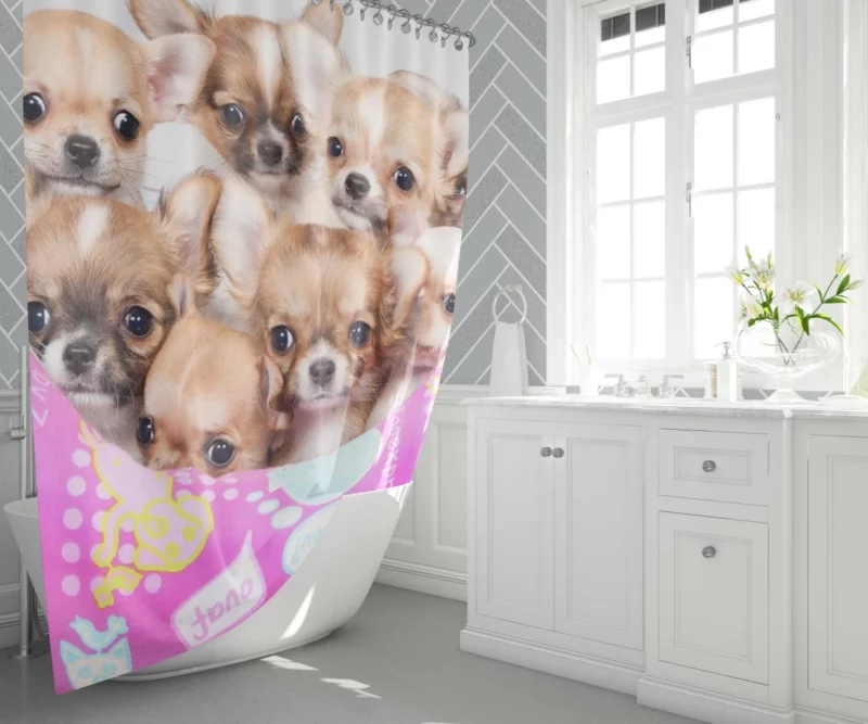 Puppy Love Chihuahua Heartfelt Joy Shower Curtain 1