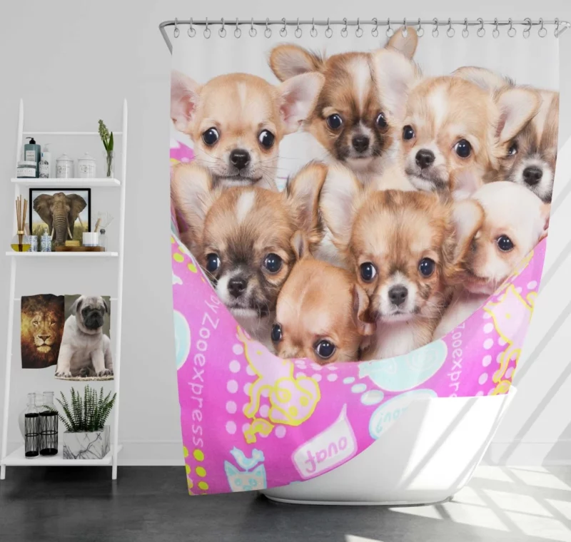 Puppy Love Chihuahua Heartfelt Joy Shower Curtain