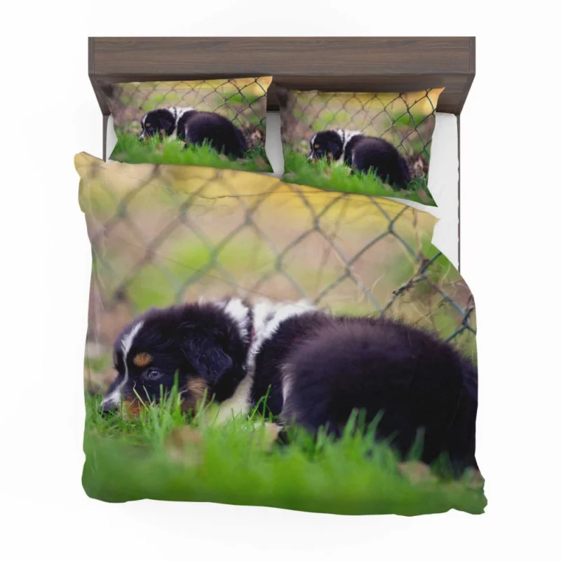 Puppy Playful Blur Fenced Delight Bedding Set 1