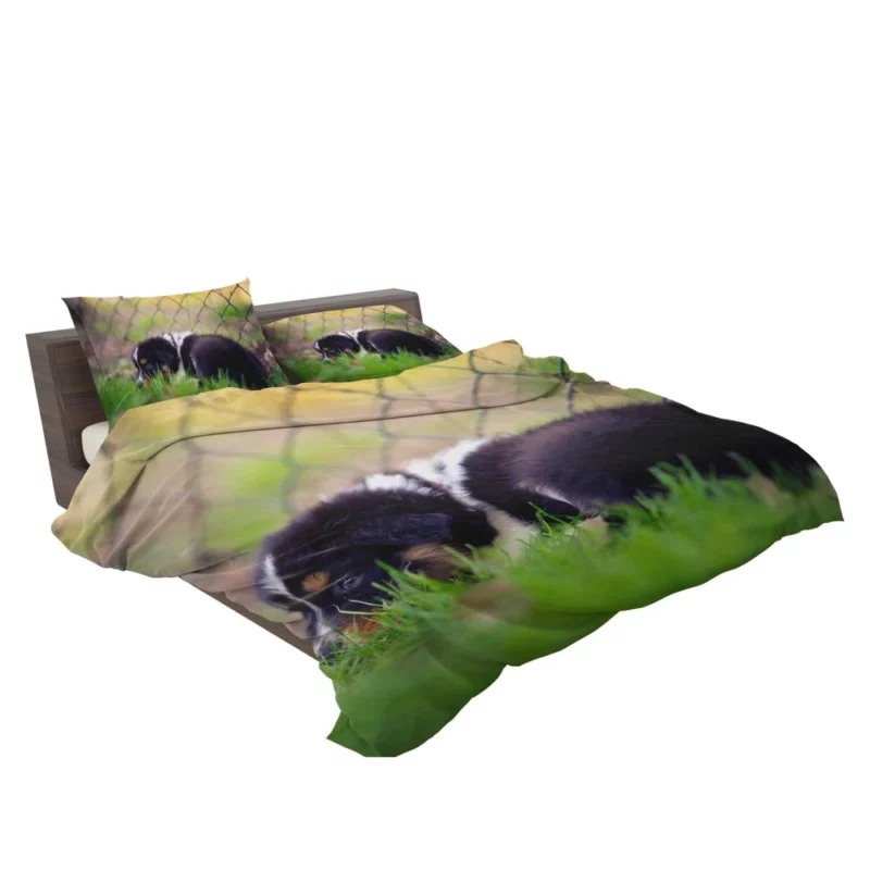 Puppy Playful Blur Fenced Delight Bedding Set 2