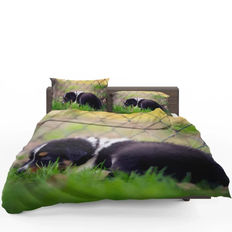 Puppy Playful Blur Fenced Delight Bedding Set