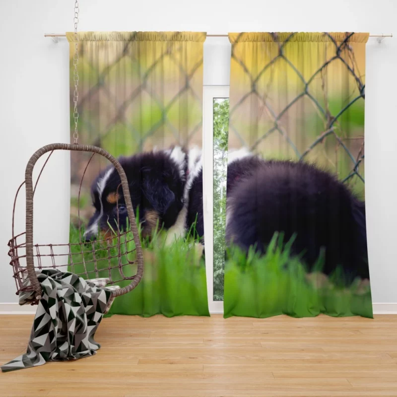 Puppy Playful Blur Fenced Delight Curtain