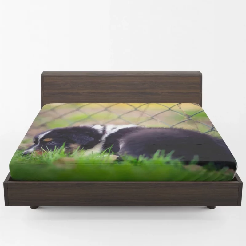 Puppy Playful Blur Fenced Delight Fitted Sheet