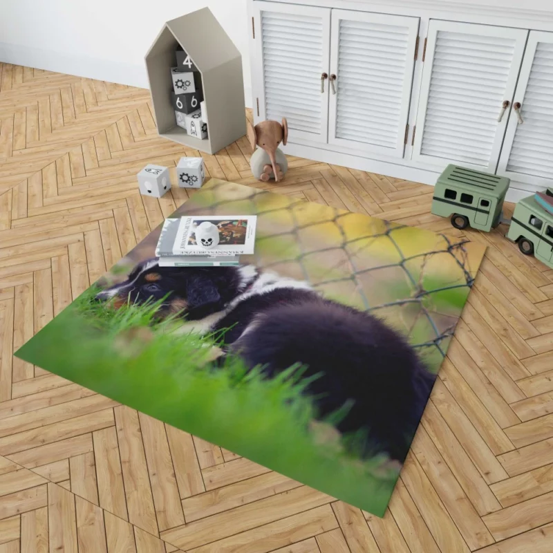 Puppy Playful Blur Fenced Delight Rug 1