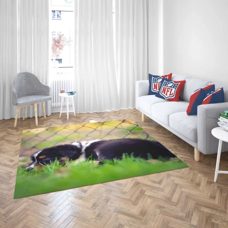 Puppy Playful Blur Fenced Delight Rug 2