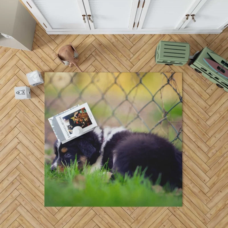 Puppy Playful Blur Fenced Delight Rug