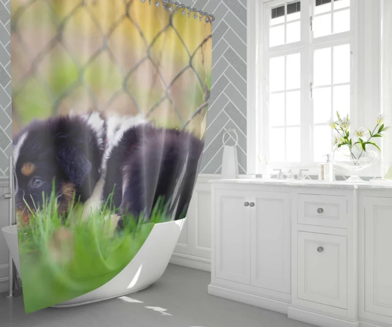 Puppy Playful Blur Fenced Delight Shower Curtain 1