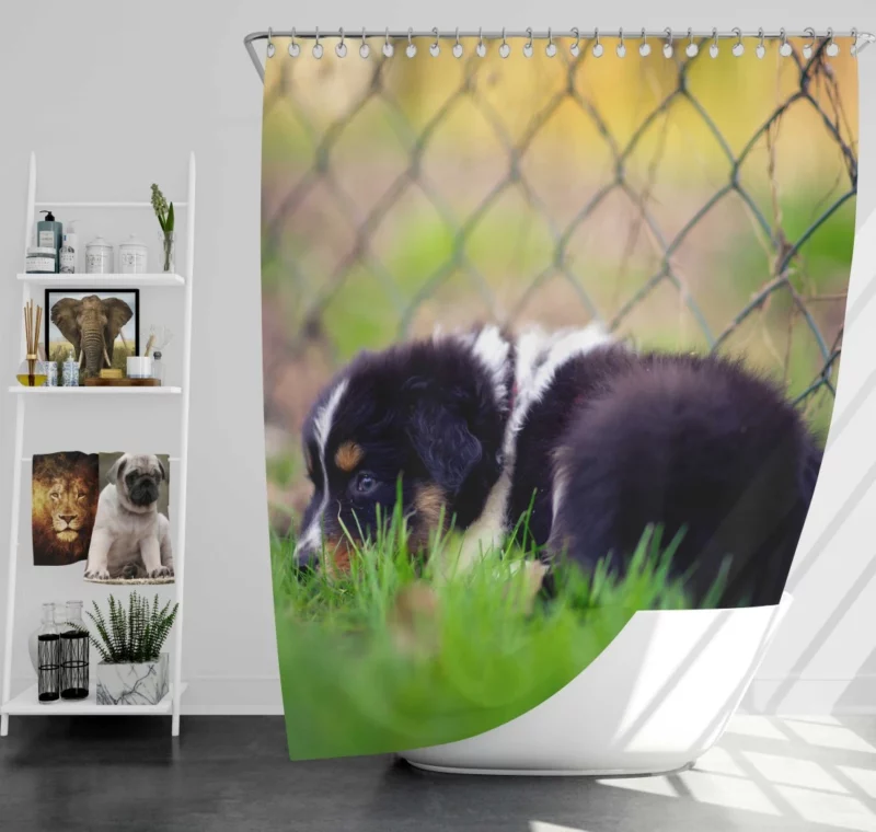 Puppy Playful Blur Fenced Delight Shower Curtain