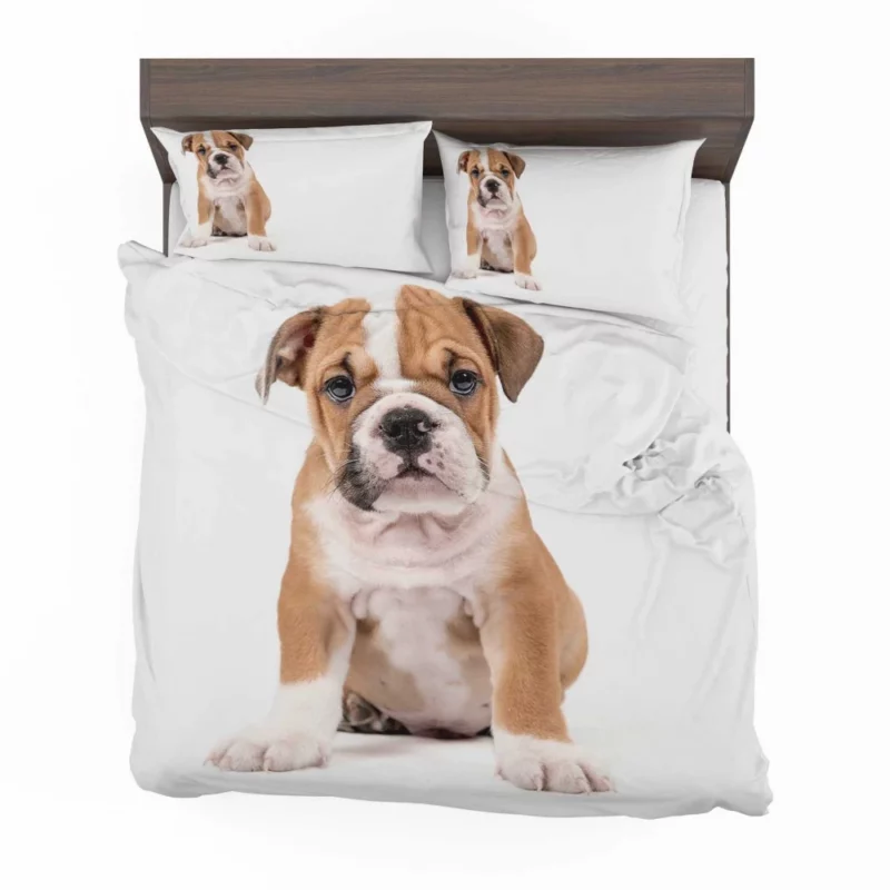 Puppy Playful Charm Furry Joy Bedding Set 1