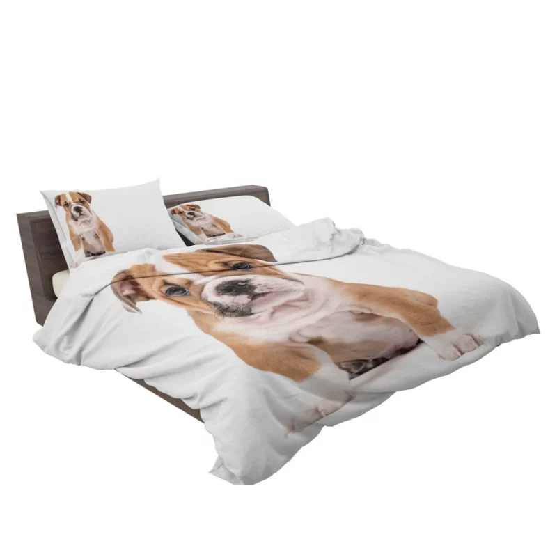 Puppy Playful Charm Furry Joy Bedding Set 2