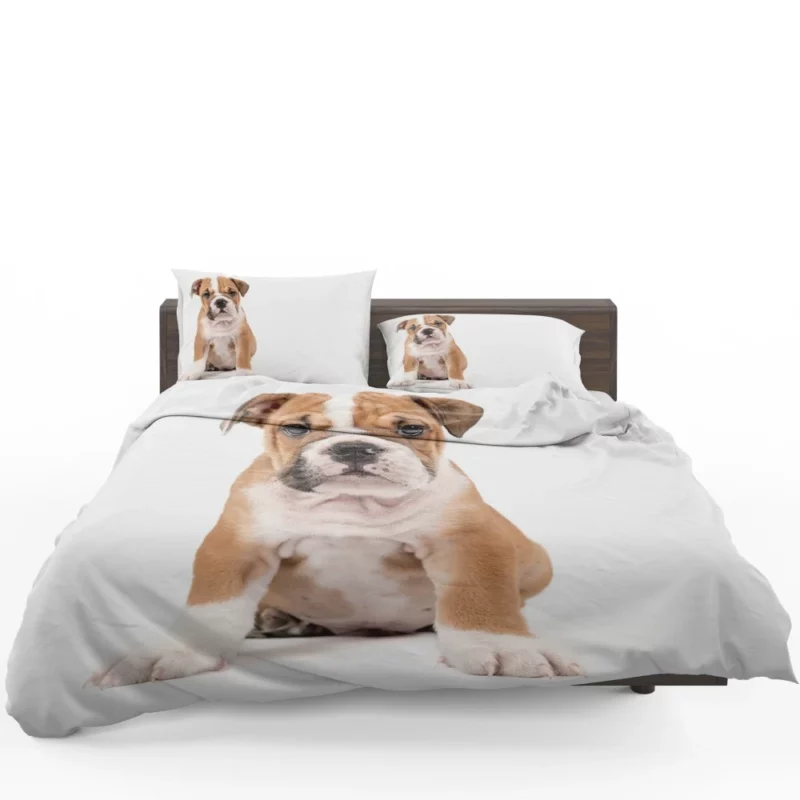 Puppy Playful Charm Furry Joy Bedding Set