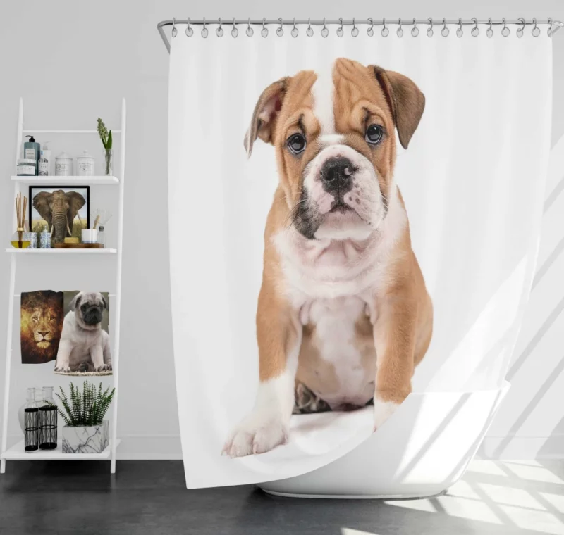 Puppy Playful Charm Furry Joy Shower Curtain