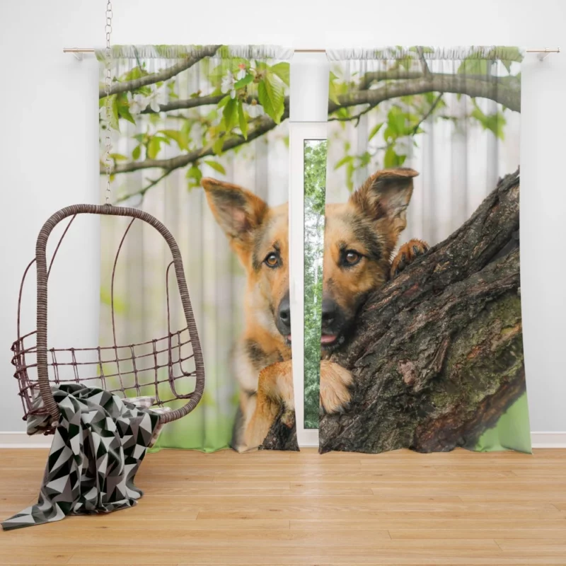 Puppy Tree Adventure Playful Escapade Curtain