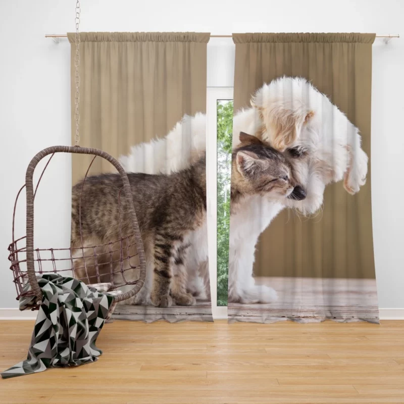 Puppy and Kitten Love Adorable Bond Curtain