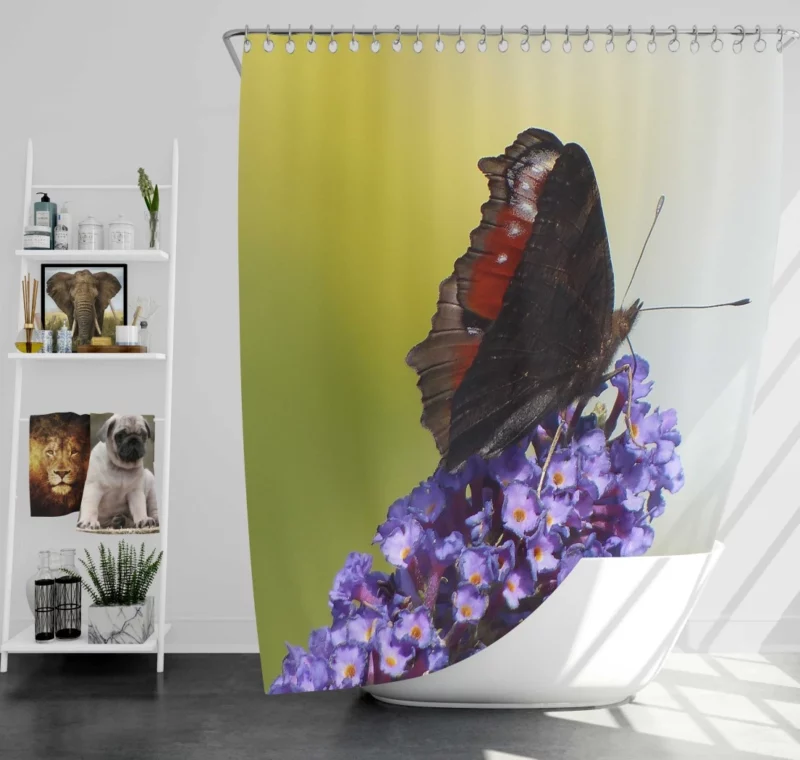 Purple Butterfly on Flower Delicate Beauty Shower Curtain