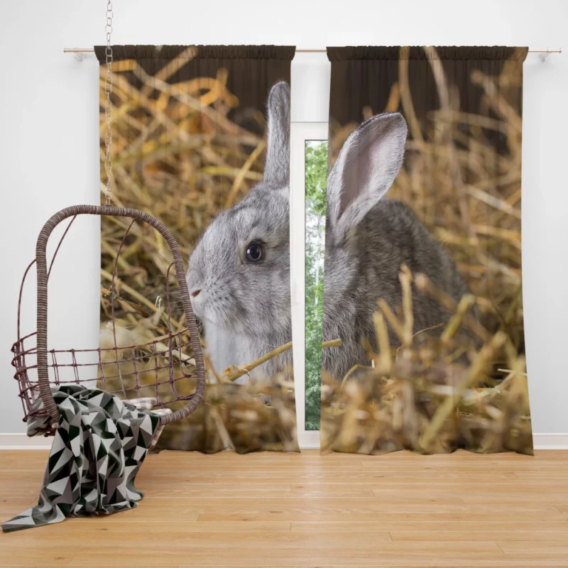 Rabbit Innocent Essence Nature Whimsy Curtain