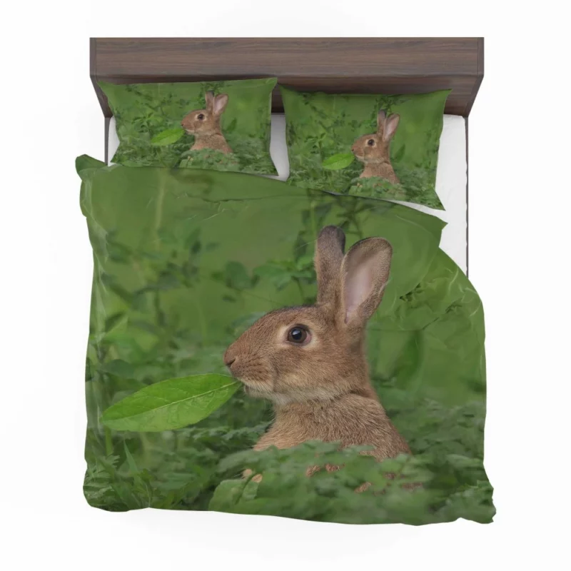 Rabbit Playful Stance Nature Whimsy Bedding Set 1