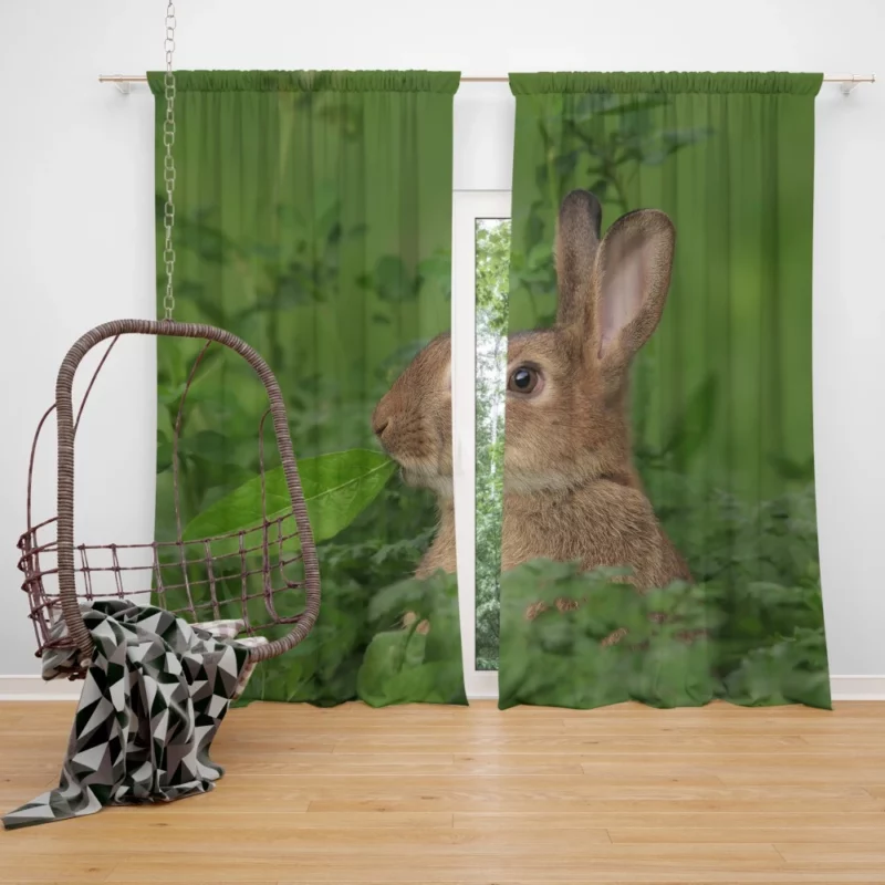 Rabbit Playful Stance Nature Whimsy Curtain