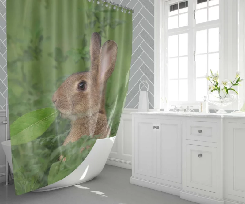 Rabbit Playful Stance Nature Whimsy Shower Curtain 1