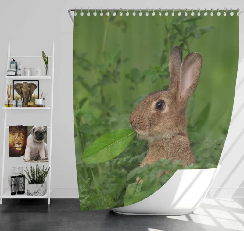 Rabbit Playful Stance Nature Whimsy Shower Curtain