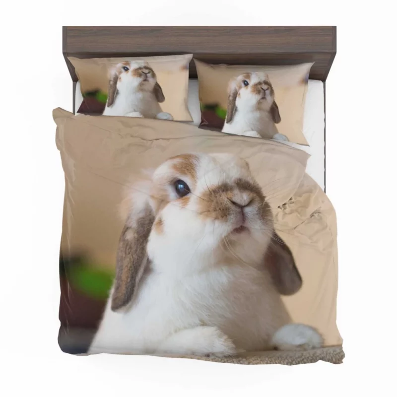 Rabbit Plea Hooman Give Food! Bedding Set 1