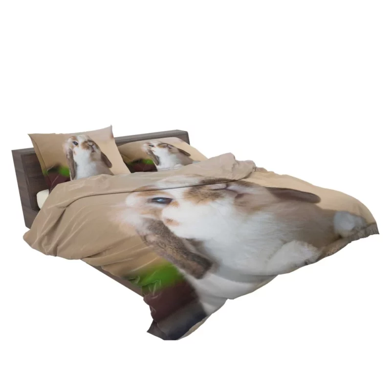 Rabbit Plea Hooman Give Food! Bedding Set 2