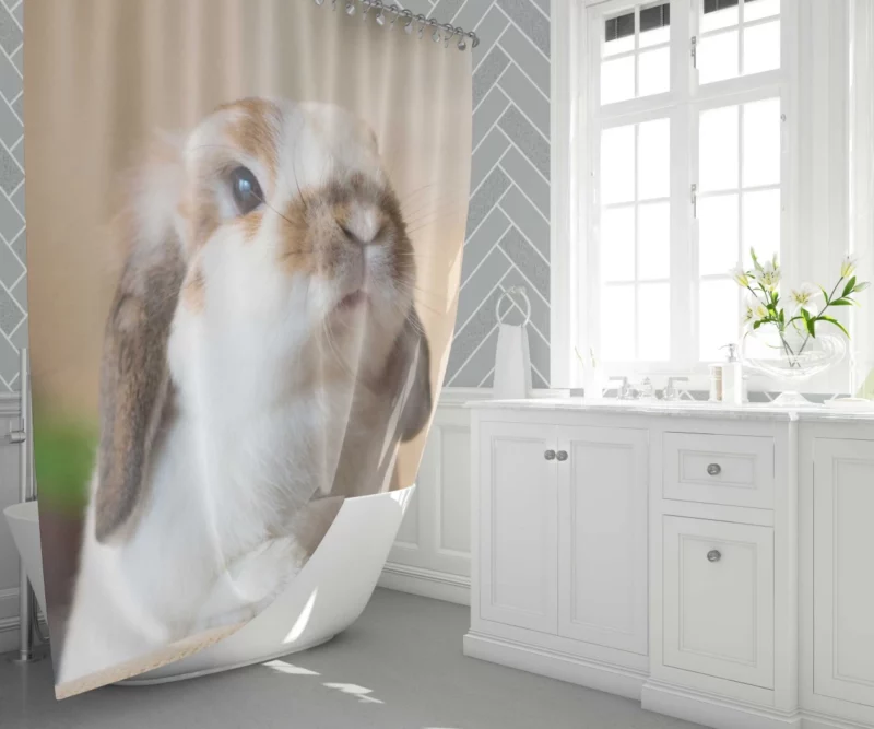 Rabbit Plea Hooman Give Food! Shower Curtain 1