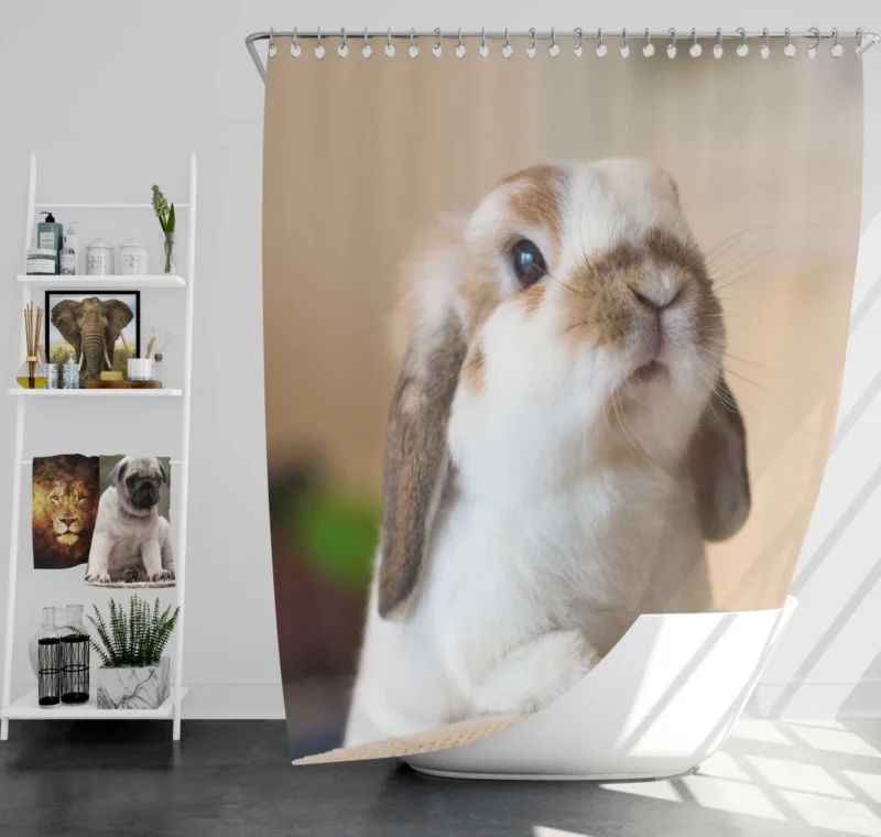 Rabbit Plea Hooman Give Food! Shower Curtain