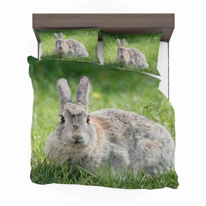 Rabbit Whisker Charm Bedding Set 1