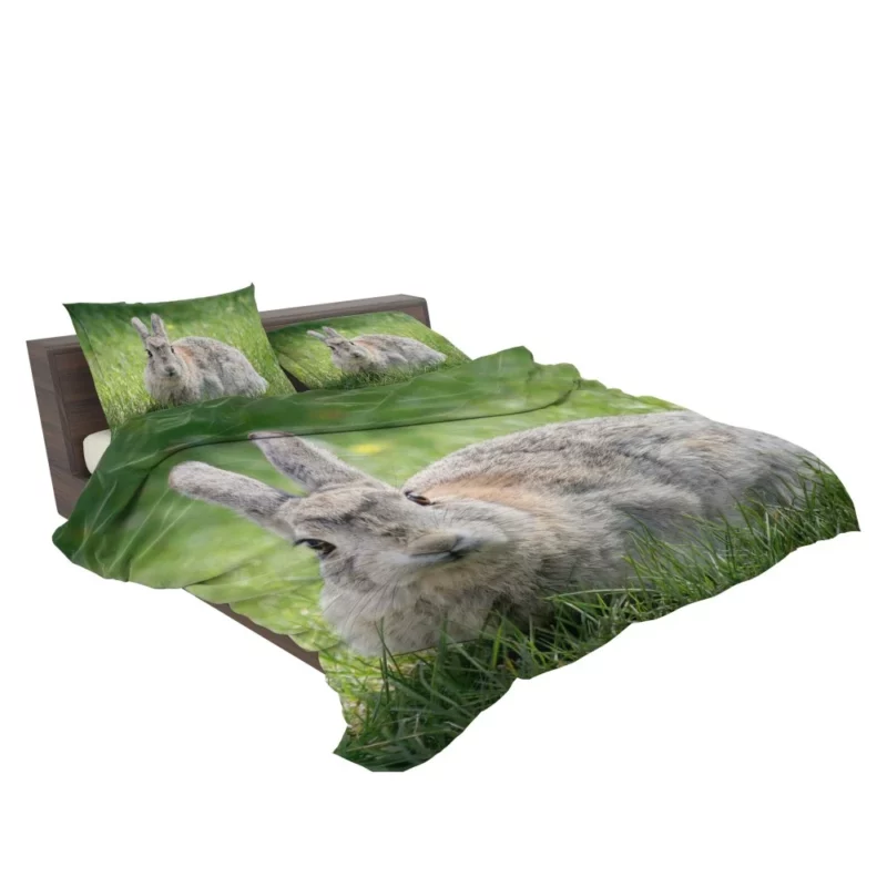 Rabbit Whisker Charm Bedding Set 2