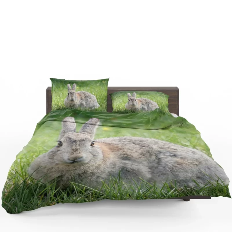 Rabbit Whisker Charm Bedding Set