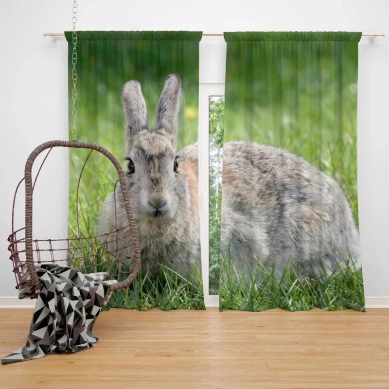 Rabbit Whisker Charm Curtain