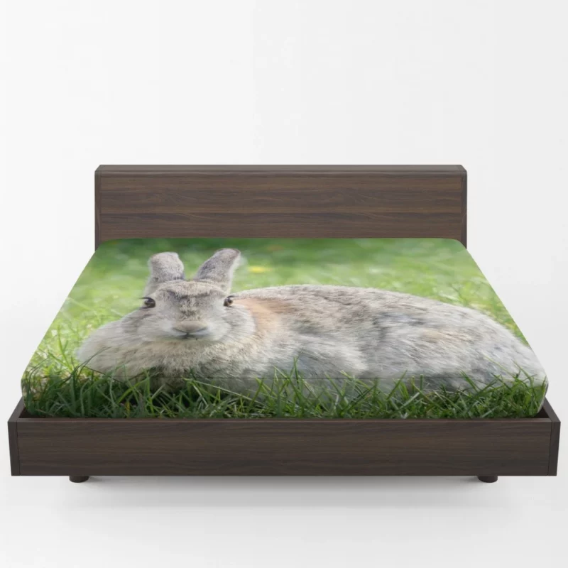 Rabbit Whisker Charm Fitted Sheet