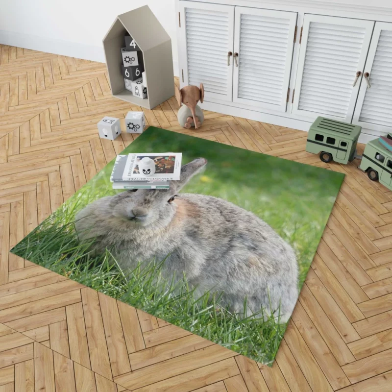 Rabbit Whisker Charm Rug 1