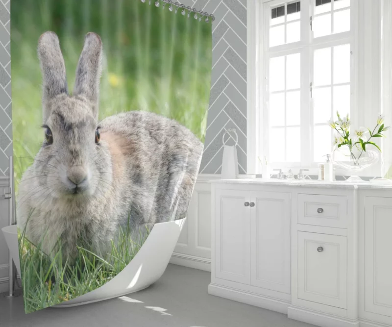 Rabbit Whisker Charm Shower Curtain 1