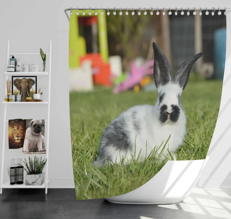 Rabbit in Grass Quiet Wilderness Shower Curtain