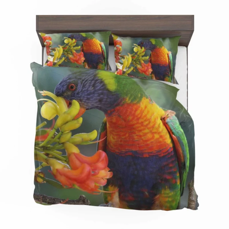 Rainbow Lorikeet Colorful Feast Vibrant Bird Bedding Set 1